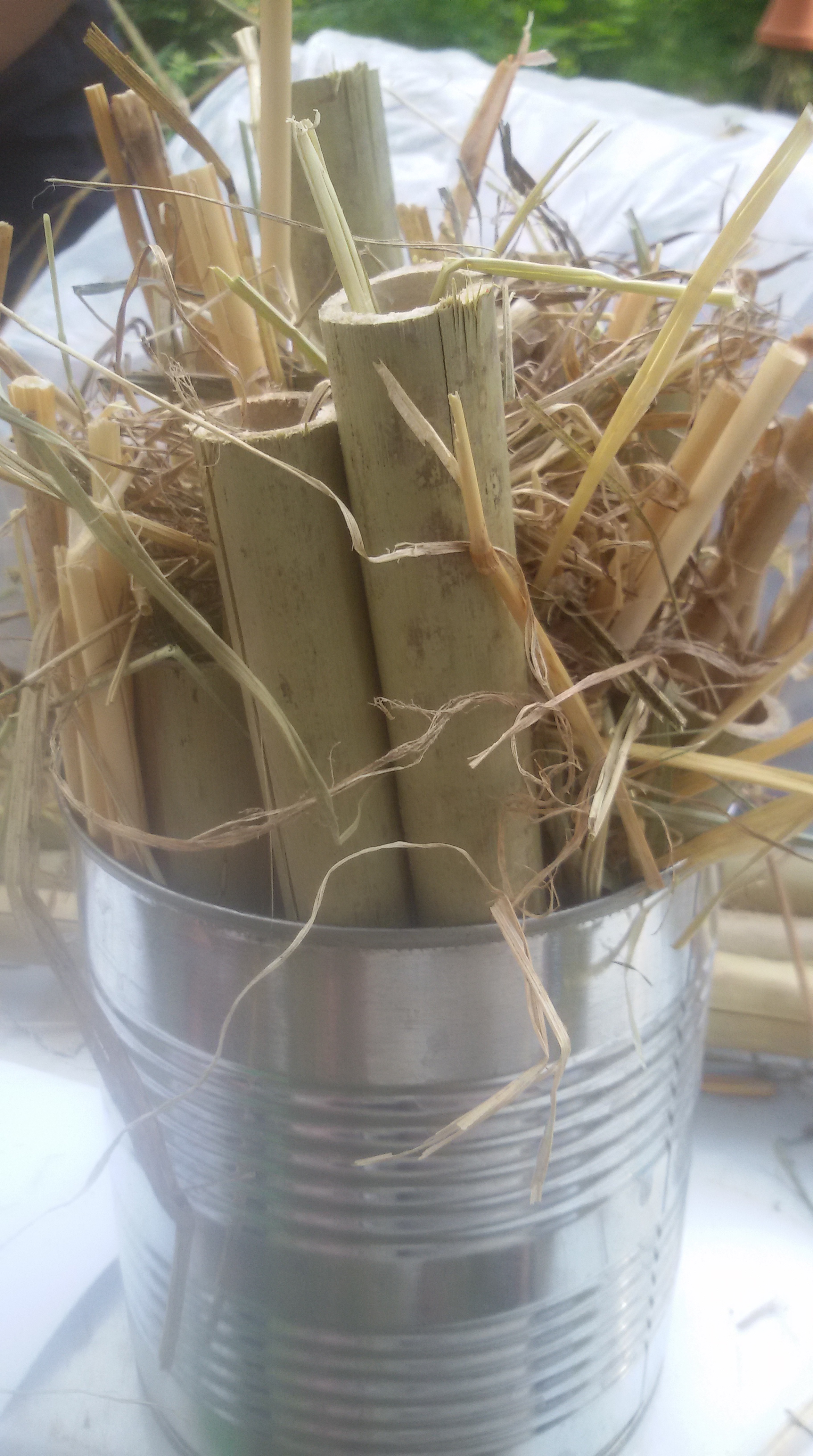 Insektenhotel1_Tserkesi