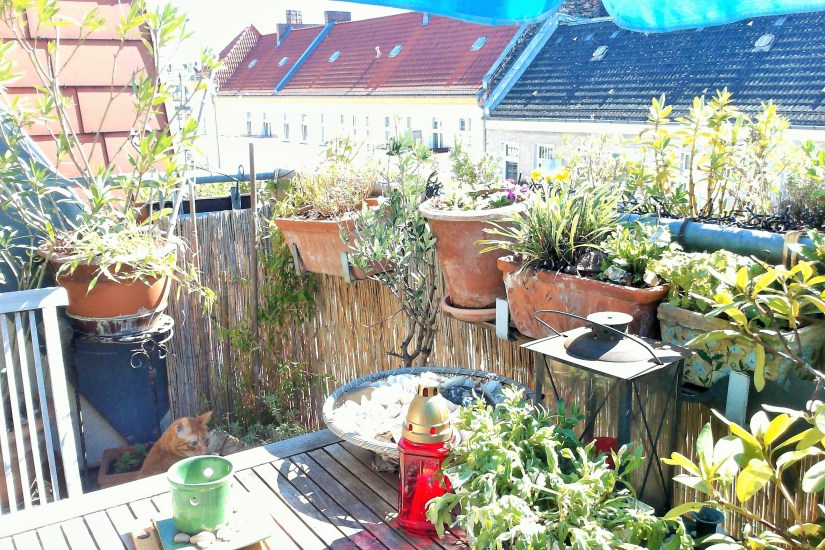 WIN_20200418_142030 (2)